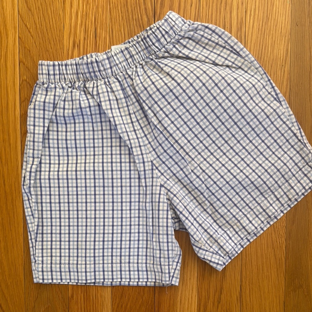 Blue and White Checkered Men's Shorts